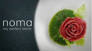Noma: My Perfect Storm
