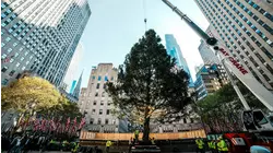 Rockefeller Center Christmas tree to light up Midtown tonight