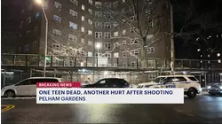 1 teen killed, another injured in Pelham Gardens shooting