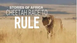 Stories of Africa: Cheetah Race to Rule