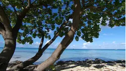 French Polynesia - Blue Lagoon