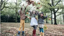 Fun In The Woods