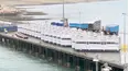 Mega Shippers: Land, Air & Sea