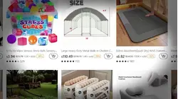 Kane In Your Corner: States sue Temu's parent company over allegations of intrusive data collection