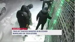 'I lost all of my inventory.' Trio wanted in brazen burglary during the blizzard