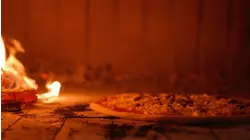 Modern Stone Age Family