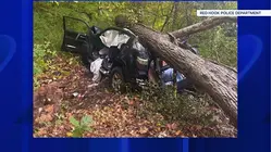 Woman injured when tree crushes her car on Route 9G