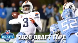 Bryce Perkins NFL Draft Tape | Virginia Quarterback