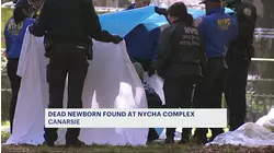 Premature baby boy found in Canarsie