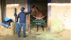 Female Trainer Could Make History at 2026 Preakness Stakes