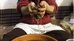 Why Argan Oil Is So Expensive