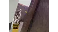 Fear Factor USA