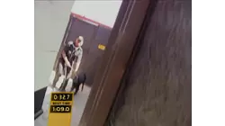 Dog Attack/Gas Chamber/Car Carrier Drive-Thru