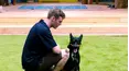 The Dog House Australia