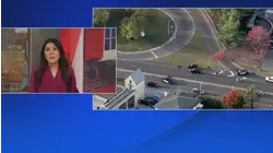 SUV crashes into tree on Rt. 29 in Trenton, New Jersey