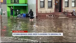 Tracking storm conditions in Greenpoint and Bushwick