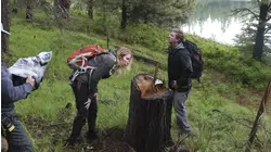 Human Bait
