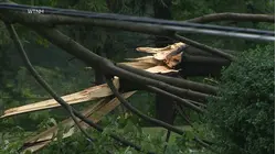 Powerful storms in the Northeast leave trail of destruction