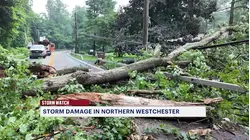 Fast-moving storms bring destruction on the roads in Northern Westchester