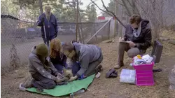 Call of the Wild