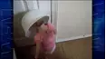 World's Funniest Moments