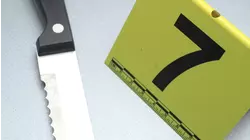 Josiane Bézard Case