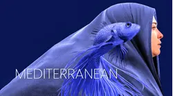 Mediterranean