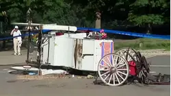 Teenager Dies After Horse Carriage Overturns in Central Park