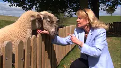 New Zealand - Kiwi Spirit