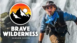 Tiger Shark Face-off