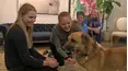 Dog Tales Rescue