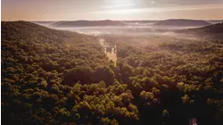 Early Season