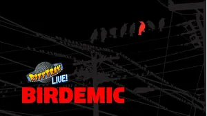 Live: Birdemic: Shock and Terror