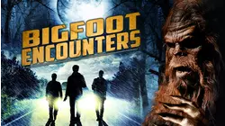 Bigfoot Encounters