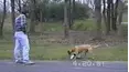 Funniest Pets & People