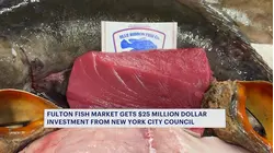 Fulton Fish Market receives major investment to modernize Hunts Point facility
