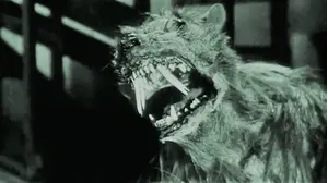 THE KILLER SHREWS