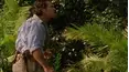 The Lost World