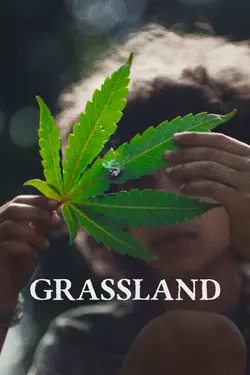 Grassland