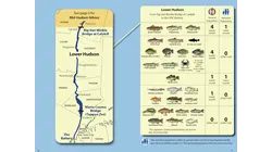 Families can now eat some Hudson River fish for first time in 50 years