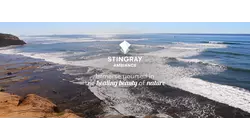 Sparkling Coastal Waves