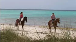 The Bachelorette S14 E07