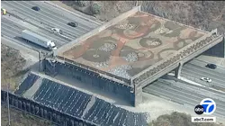 Native plants take root on wildlife crossing over 101 Freeway in Agoura Hills