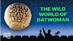 Wild World of Bat Woman