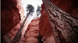 Bryce Canyon National Park, Utah featuring Bob Mamet,Acoustic Alchemy, Ken Navarro