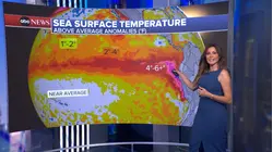 El Nino returns, likely will intensify into a strong event this year, NOAA says