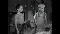 Dennis The Menace: S1 E20 - Dennis And The Dog