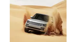 International SUVs