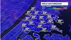 Cold & breezy finish to the week, snow showers this weekend for The Bronx