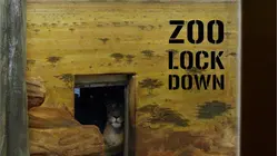 Zoo Lock Down